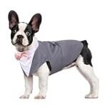 Descubre cómo lucir un outfit perfecto con abrigo gris esta temporada Descubre cómo lucir un outfit perfecto con abrigo gris esta temporada