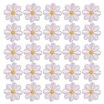 Análisis de la tendencia vaquera con estampado de margaritas: ¡Ideas para lucir a la moda!