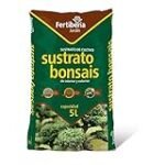 Bonsái Online: El complemento de moda perfecto para dar un toque único a tu look