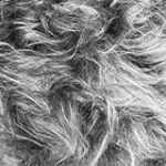 Análisis detallado: Chaleco de pelo gris, la tendencia invernal que no puede faltar en tu armario