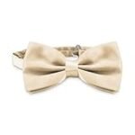 Análisis de Moda: Descubre cómo Lucir una Elegante Pajarita Beige en tus Looks