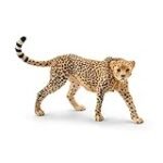 Sambas de Leopardo: La Tendencia Salvaje que Arrasa en la Moda